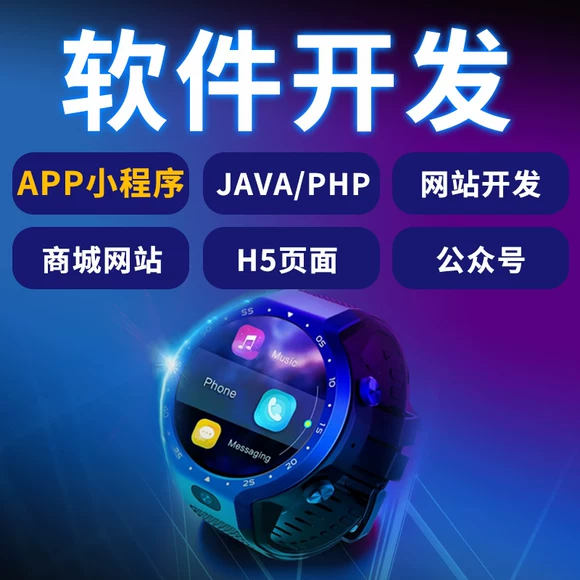 计算机程序设计java开发php网站jsp软件python
